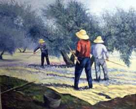 20060216224155-aceituneros.jpg