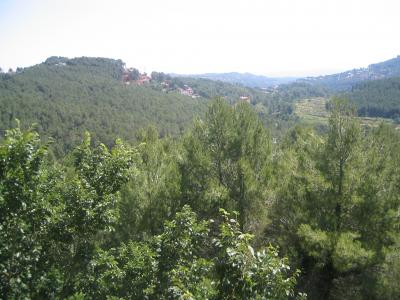 20060604153459-img-0007.jpg