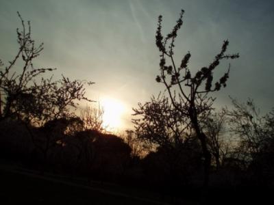 20070315204608-puesta-de-sol-en-el-retiro.jpg