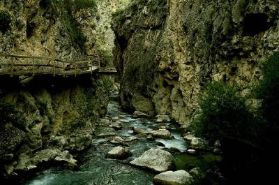 20070320112146-pasarela.jpg