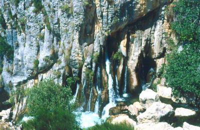 20070327125840-nacimiento.jpg