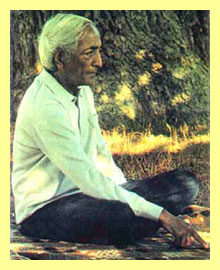 20070508120047-krishna.jpg