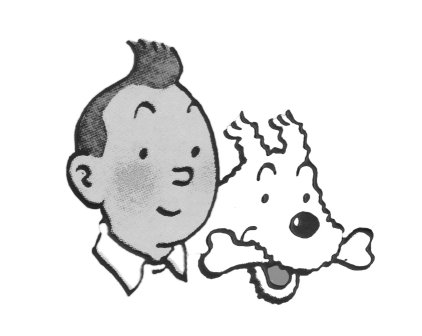 20070522211142-tintin.jpg