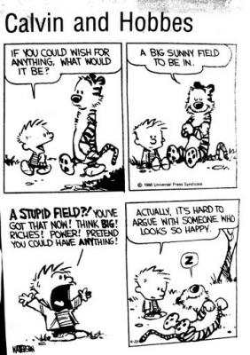 20090116075417-calvin-hobbes.jpg