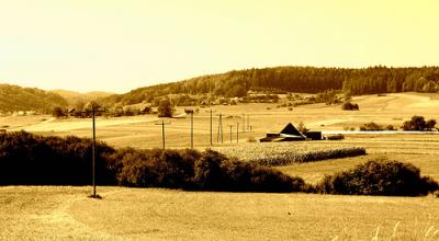 20090323144931-251113032-157c9e695a.jpg
