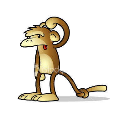 20090615160230-confused-monkey.jpg