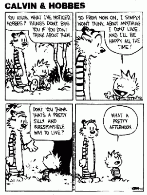 20090707080110-calvinhobbesabe.gif
