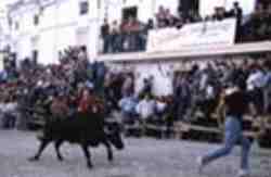 Fiestas.jpg